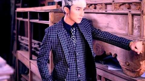 Chắc Ai Đó Sẽ Về - Sơn Tùng MTP 2014