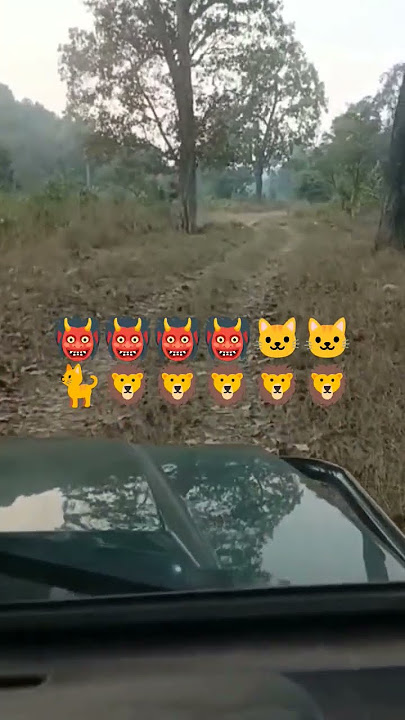 #shots #viralvideo #yadavjiproperty #homforsell #viralvideo