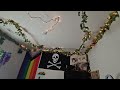 Jungle pirate vibes