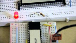 8051 Hardware Demonstration LED Blinking 3 Speed