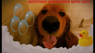 How did our Golden retriever dog get on with his bath time @ cute and funny PART 2 Jack.