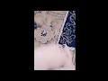 احبكم حبايبي