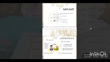 سورة النبأ رابعة متوسط #رابعة_متوسط #بيام_2024
