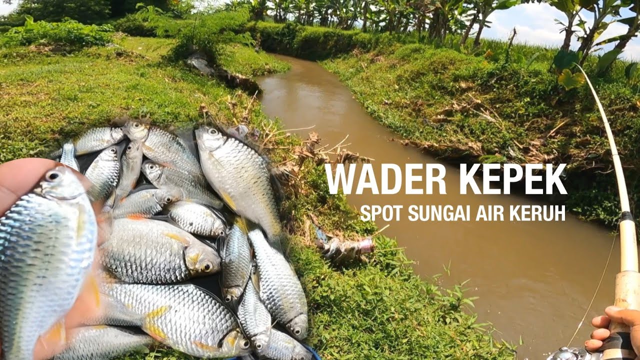SPOT KERUH SUNGAI KECIL TERNYATA ADA IKAN NYA‼️MANCING WADER KEPEK