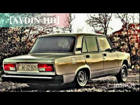 Samil \u0026 Seymur - Dunyani Gezim (Cover by Elnur Valeh) 2020