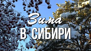 Это Сибирь! Суровая, но такая прекрасная, для многих недоступная и в то же время манящая...