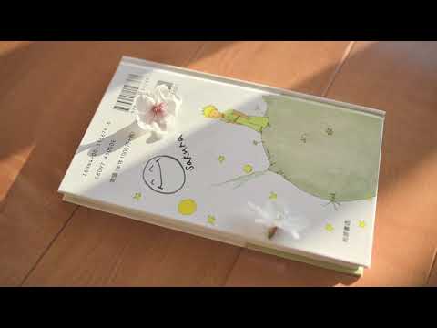 Mr.Children「himawari」ピアノソロ　映画『君の膵臓をたべたい』主題歌
