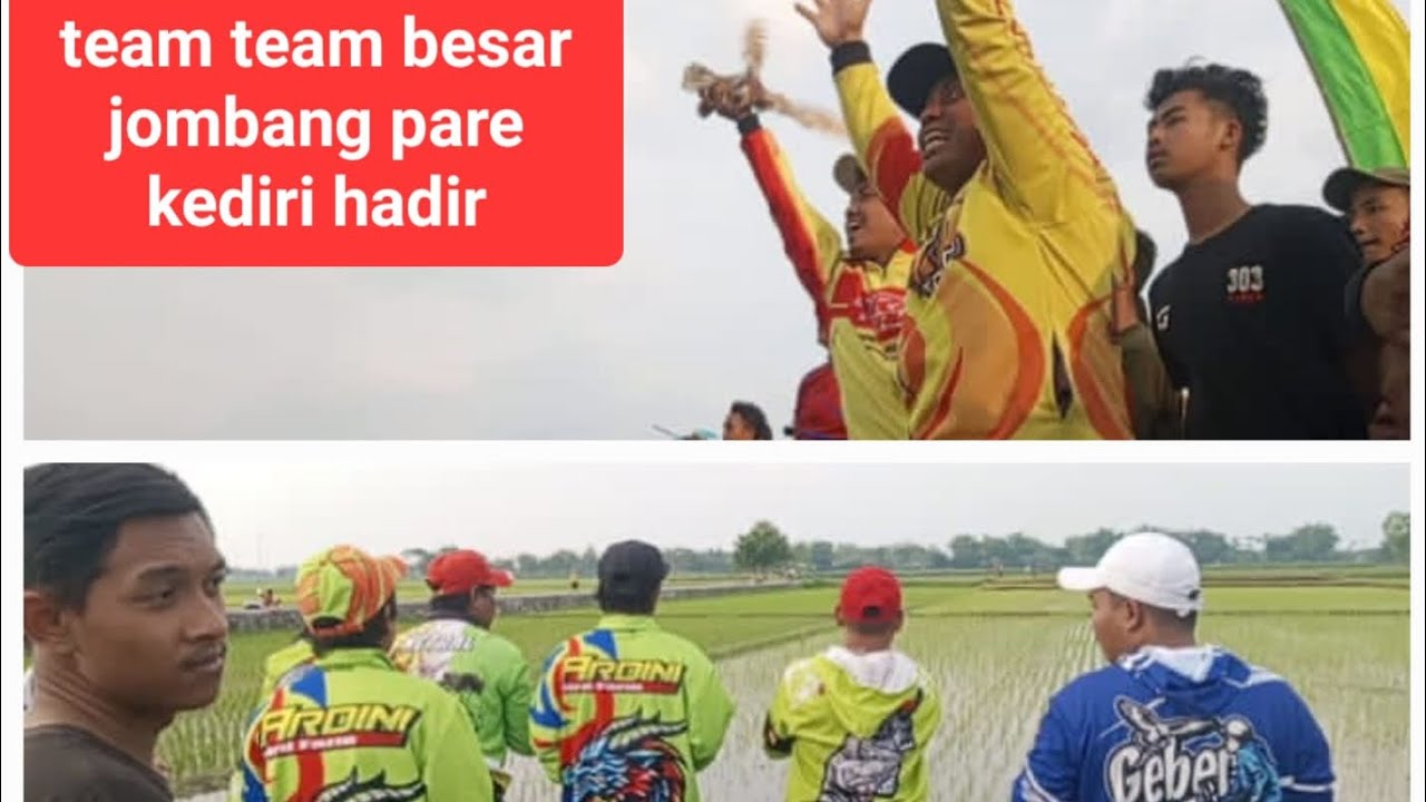 Serunya lebaran balap merpati di sawah