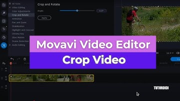 How To Crop Video In Movavi   - Movavi Video Editor Plus 2020 #9