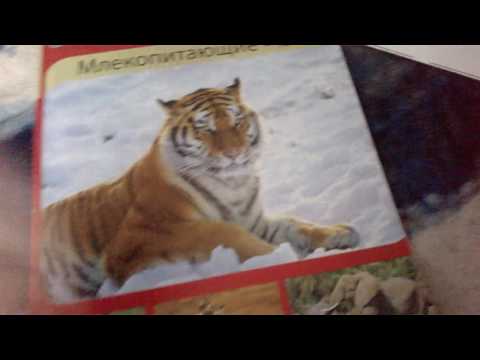 журналы мир вокруг нас 4,5,6 выпуски журналы мир вокруг нас 4,5,6 выпуски