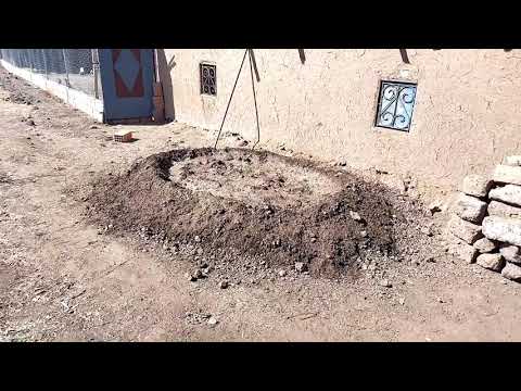 تربية دجاج البلدي بديت الخدمة في الكوري ديال الدجاج ماشاء الله دجاجة خرجت ليا 13 فلوس