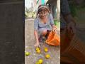 La GRAN confusión 🍊