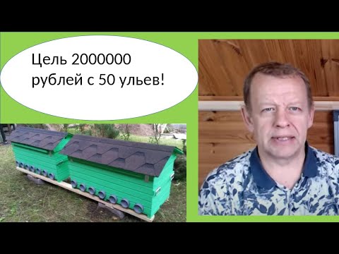 Пчеловодство для начинающих бизнес пасека как основной источник дохода в деревне