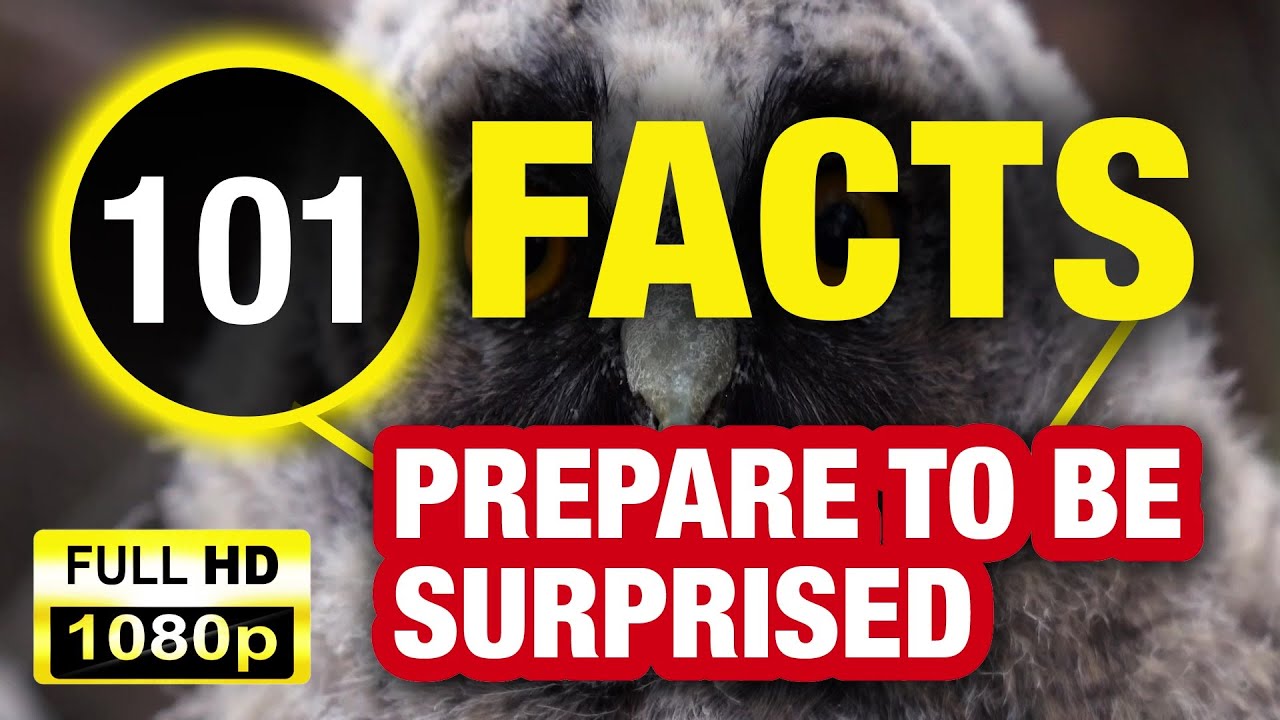 101 Little Known Facts That Will Blow Your Mind! - YouTube