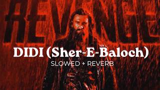 DIDI (Sher-E-Baloch) - [ Slowed + Reverb ] | Dhurandhar - The Revenge| Ranveer Singh