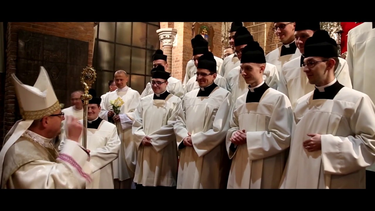 Obłóczyny 2017 - MWSD we Wrocławiu