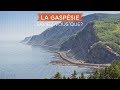 Tout ce quil faut savoir sur la gaspsie  qubec maritime