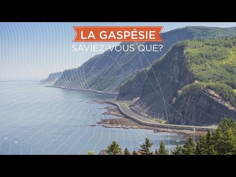 Video: Parcul Național Gaspésie Din Quebec 