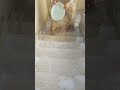 مش هسيبك هأكلك علقه
