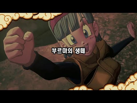 부르마의 생떼 [드래곤볼z 카카로트]
