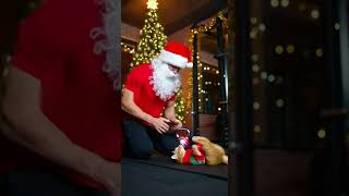 Santa Coaching a Cat Through Sit-Ups 🎄🐾