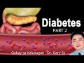 Diabetes Mellitus Part 2 - Dr. Gary Sy