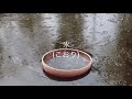 【半径5キロの歳時記 28】氷の上を歩く水鳥  氷  水鳥  寒し