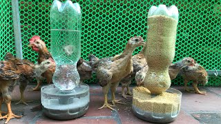 Plastic Bottle Ideas  DIY Simple Chicken Feeder From Recycled Plastic Bottles