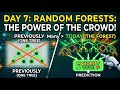 Day 7: Random Forest