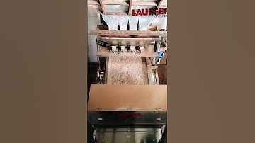 Peanut Sorting Made EASY with Lauffer Deep Learning Technology! #lauffer  #kmcengineering