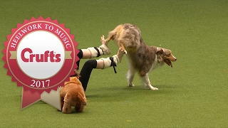 Heelwork To Music - International Freestyle Competition Part 3/3 | Crufts 2017