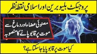 The Blue Brain Project In Urdu Hindi