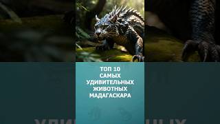 Топ 10 самых удивительных животных Мадагаскара #мадагаскар #шортс #топ10 #комарик #необычныеживотные