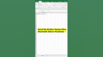 Microsoft Excel