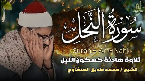 كأنه يبحر في بحر من الخشوع والسكينة سورة النحل كاملة الشيخ محمد صديق المنشاوي 🎧