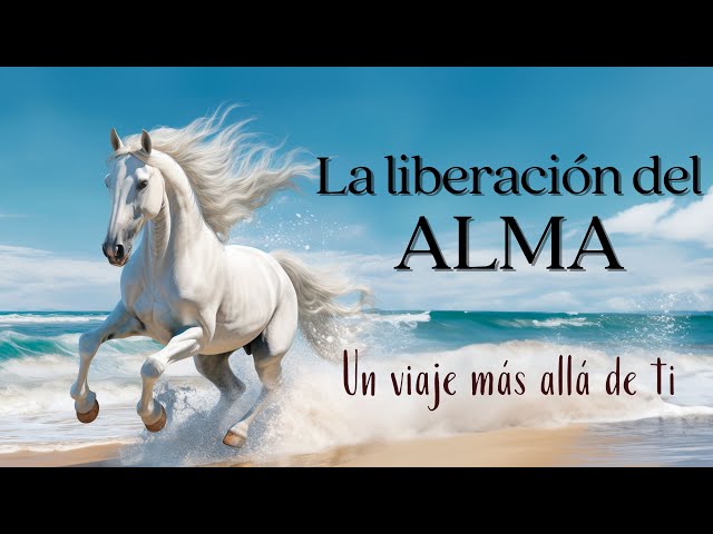 La liberación del ALMA 💫 Michael A. Singer . Audiolibro class=