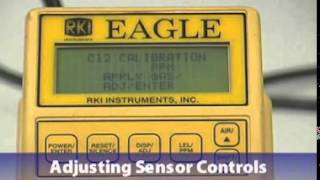 RKI Eagle Calibrating Non-Standard Toxic Gas Sensor Video