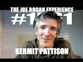 Joe Rogan Experience #1561 - Kermit Pattison