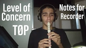 Twenty One Pilots - Level of Concern (Recorder - with notes)