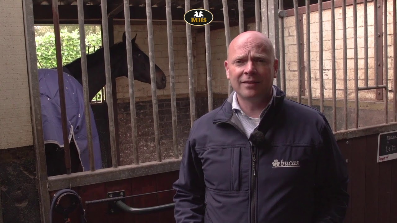 Decke nass, aber nicht undicht - YouTube