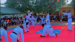 Taekwondo Démonstration