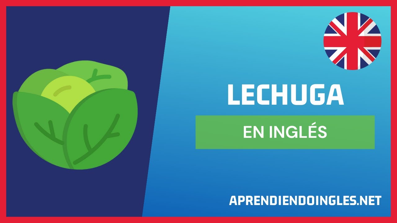 CÓMO se dice LECHUGA en INGLÉS 2022 🚀 APRENDE A ESCRIBIR LETTUCE
