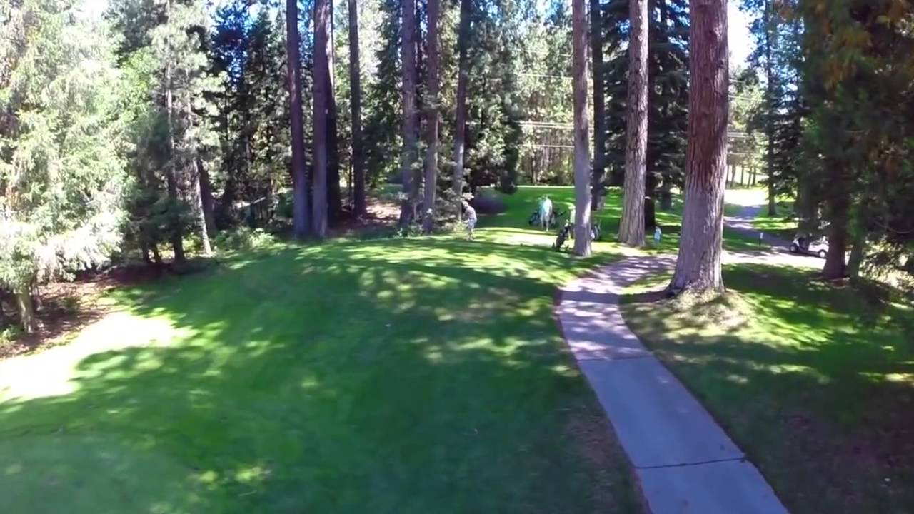 Mount Shasta Resort - Spectacular !