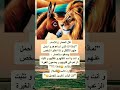ببن الأسد والحمار جرى هذا الحوار الطريف العميق ببن الأسد والحمار جرى هذا الحوار الطريف العميق