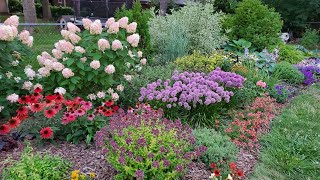 Mid-August Garden Tour, Hydrangeas, Allium, Zone 4