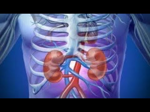 KALEE MALLATTOO DHUKKUBA KALEE 5 Fi WANTOOTA GOCHUUN NURRAA EEGAMU