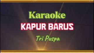 KAPUR BARUS - Tri Puspa Versi Karaoke