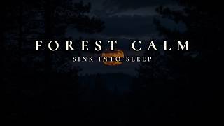 Deep Sleep Music • Forest Calm • Dark Ambient for Insomnia & Deep Rest • 8 Hours