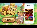 最狂熱的博弈天堂就在這裡！老虎姬娛樂正式登場🔥