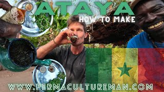 HOW TO COOK ATAYA TEA